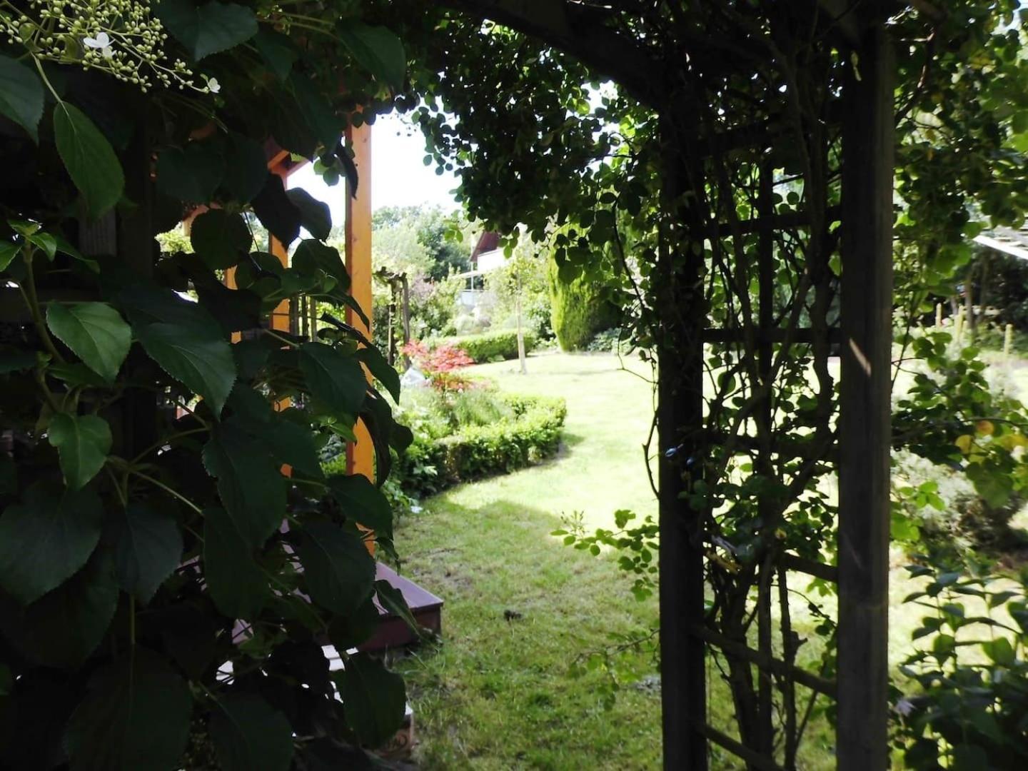 Farbenfrohe Ferienwohnung Detmold Dış mekan fotoğraf